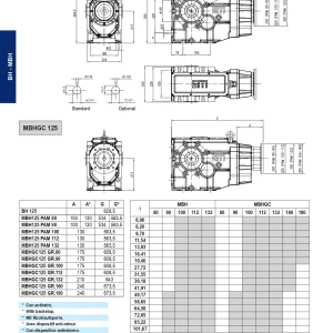 Конусно-цилиндричен редуктор SITI - MBH 125, Ф60